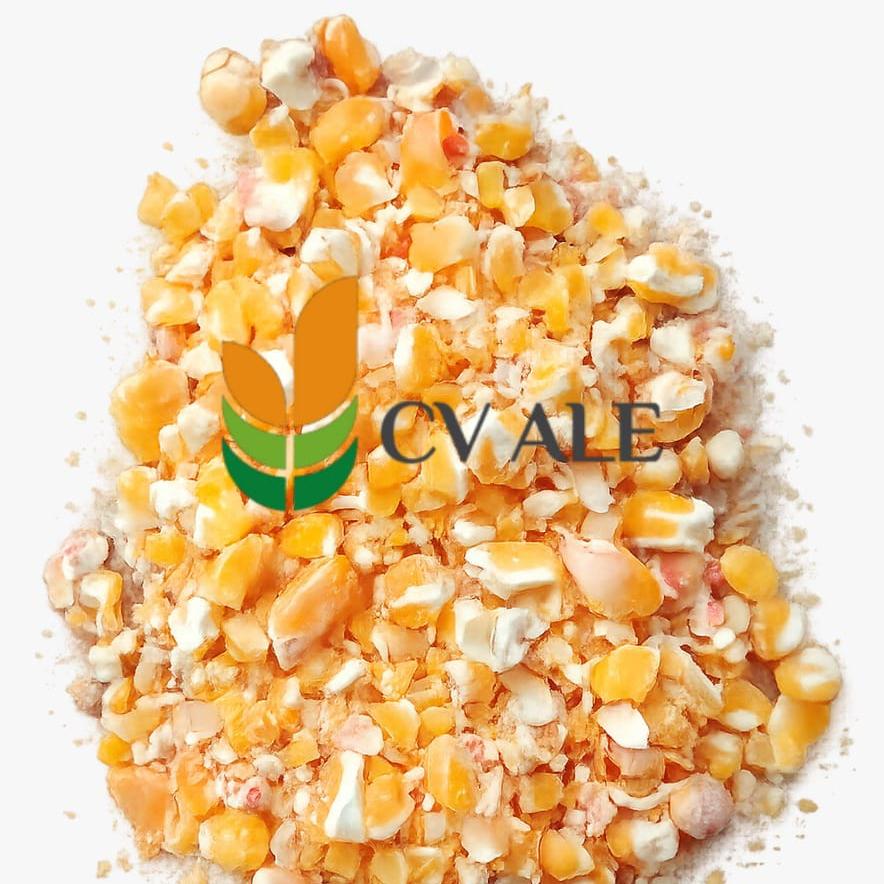 Jagung pecah sebagai bahan baku sumber protein nabati pakan ternak.